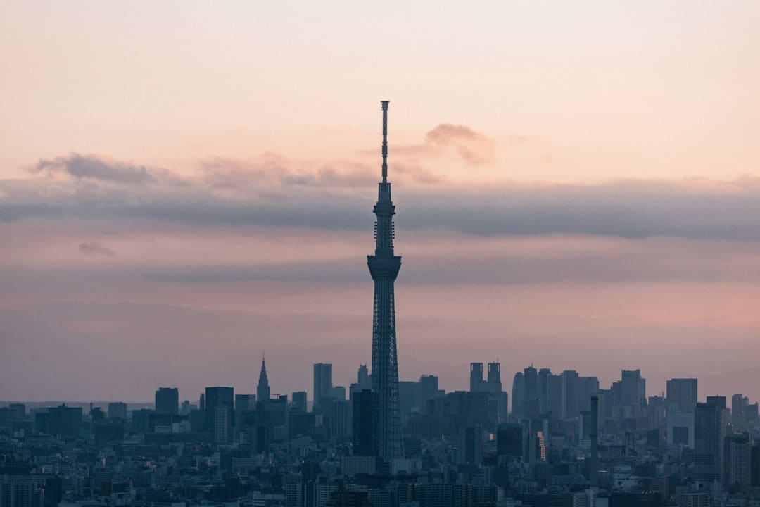 韩国首尔林既能赏识汉江的美，又能感触树林的幽_